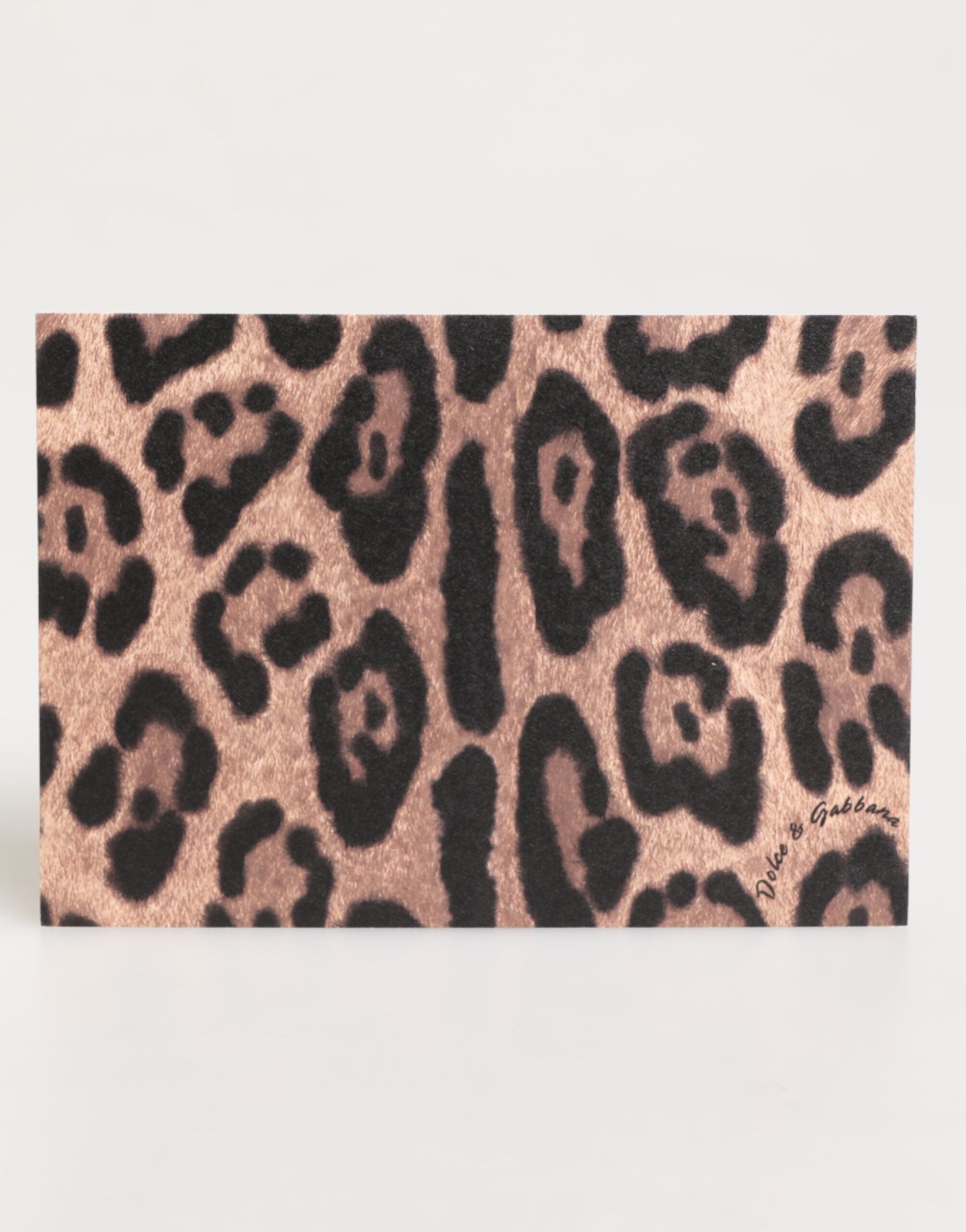 Dolce & Gabbana Dolce & Gabbana Multicolor Leopard Print Envelope Paper Post Card Women's Holder