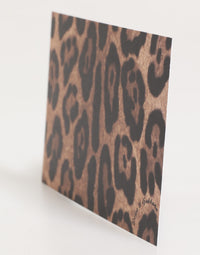 Dolce & Gabbana Dolce & Gabbana Multicolor Leopard Print Envelope Paper Post Card Women's Holder