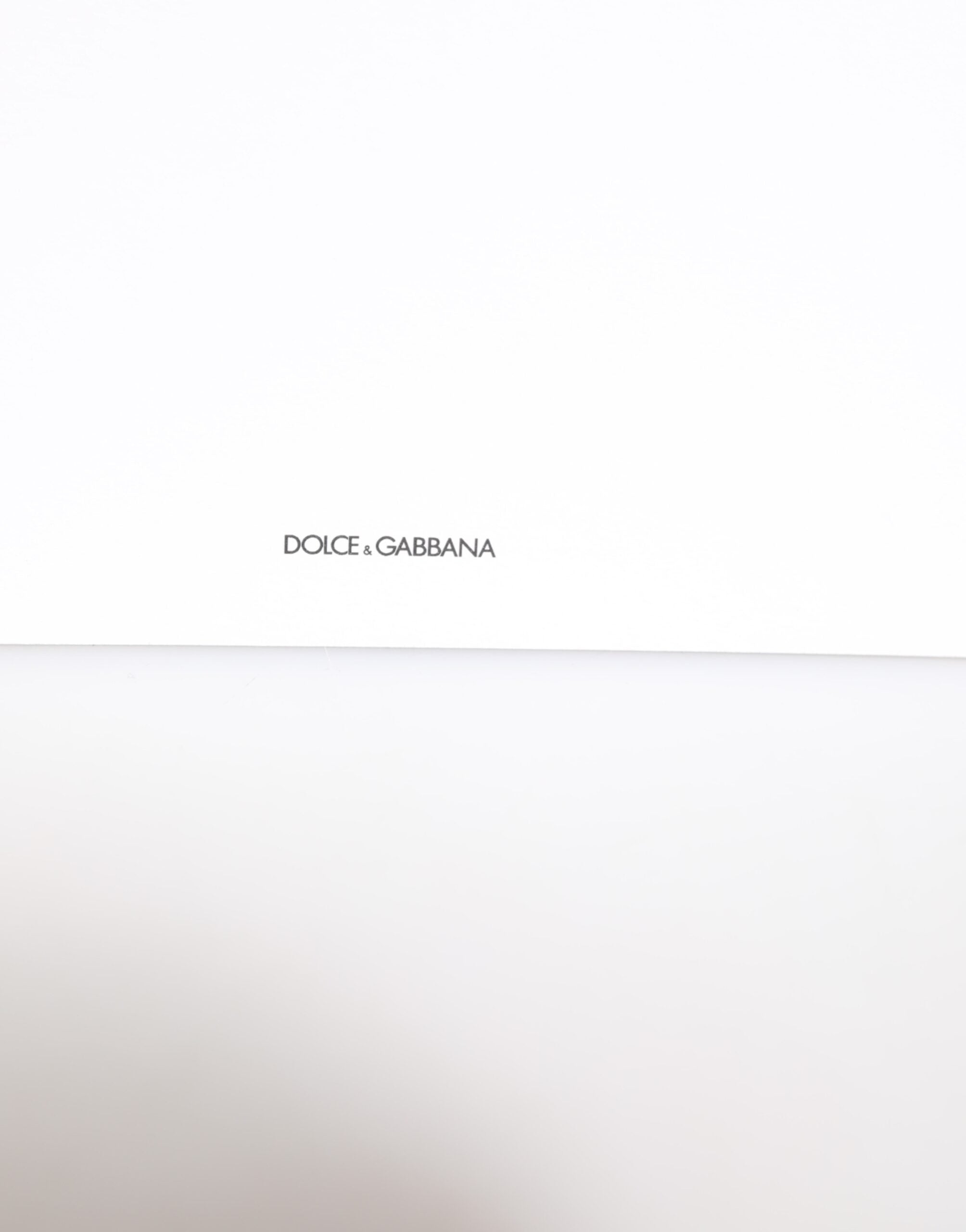 Dolce & Gabbana Dolce & Gabbana Multicolor Leopard Print Envelope Paper Post Card Women's Holder