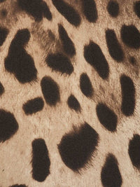 Dolce & Gabbana Women Leopard Print Scarf