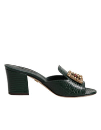 Dolce & Gabbana Dolce & Gabbana Green DG Amore Heel Slides Sandals Women's Shoes
