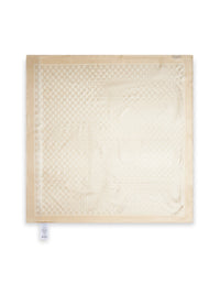 Gucci Women Ivory Gg Silk Carré