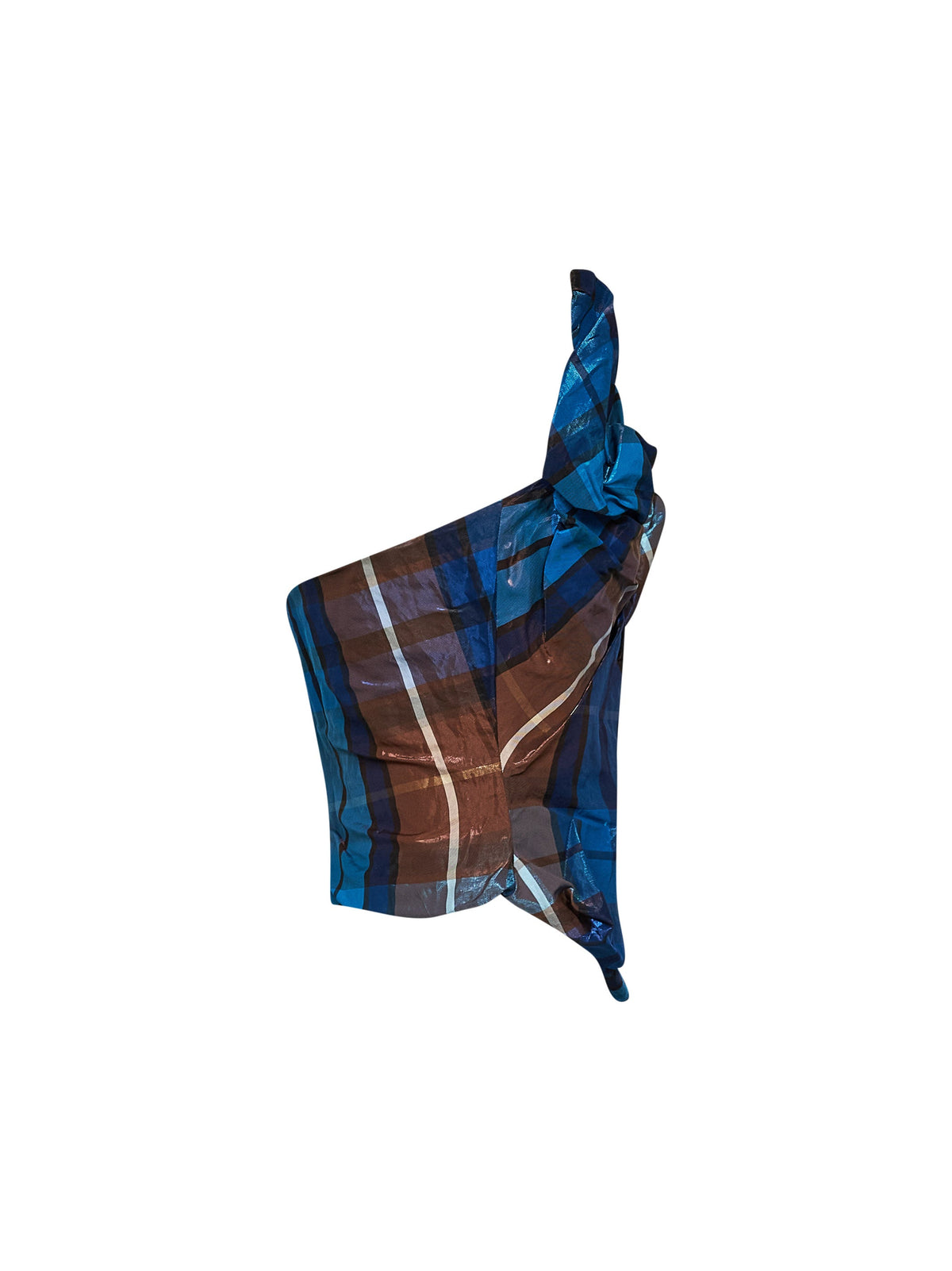 Vivienne Westwood Women Blue And Brown Tartan On Point Corset