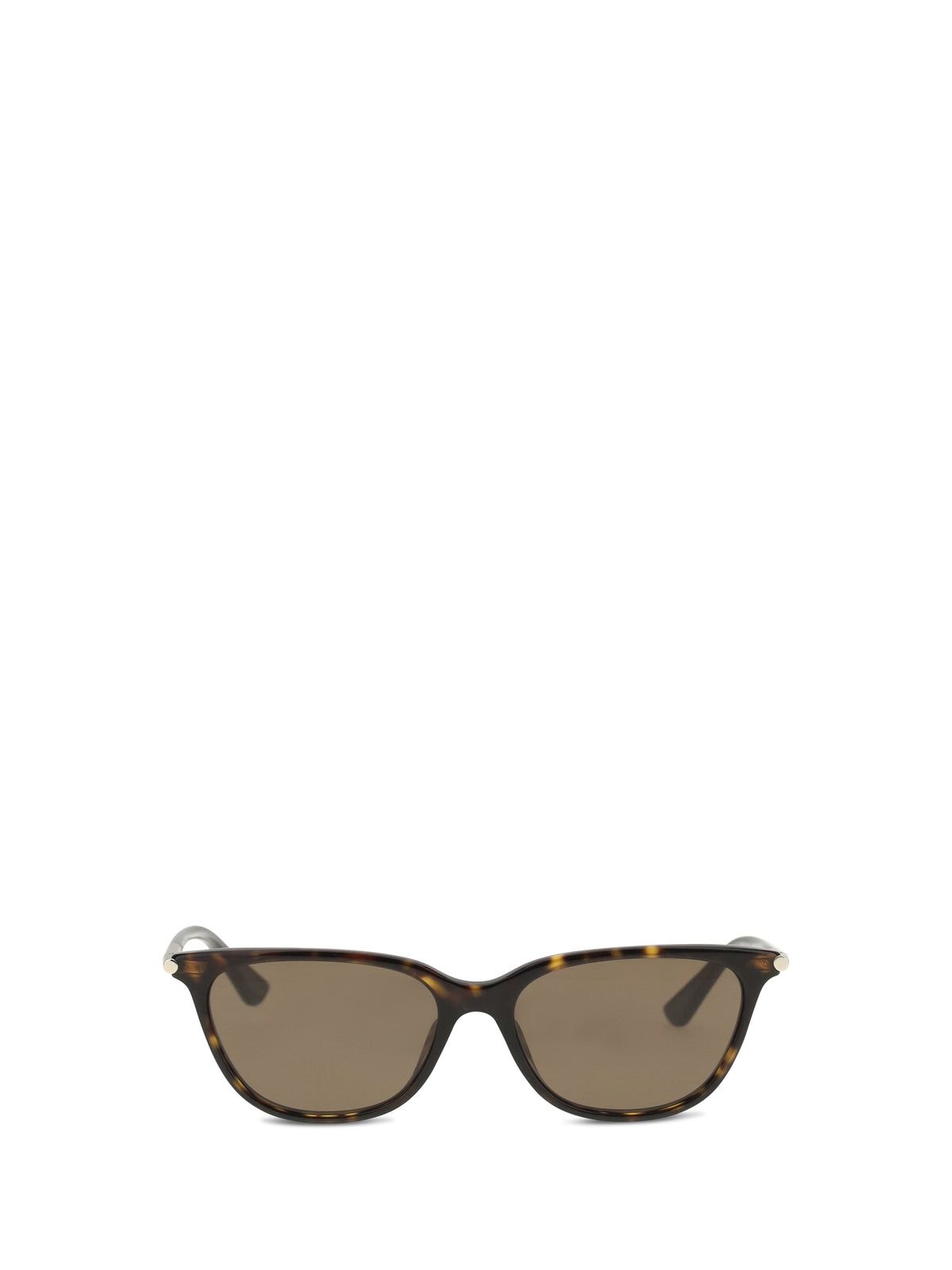 Alexander Mcqueen Women Cat-Eye Sunglasses