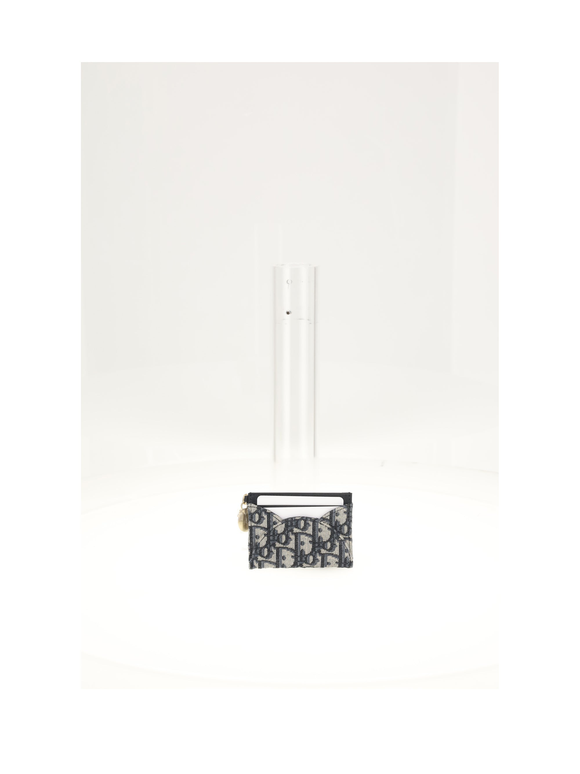 DIOR Dior Women Pouch Oblique