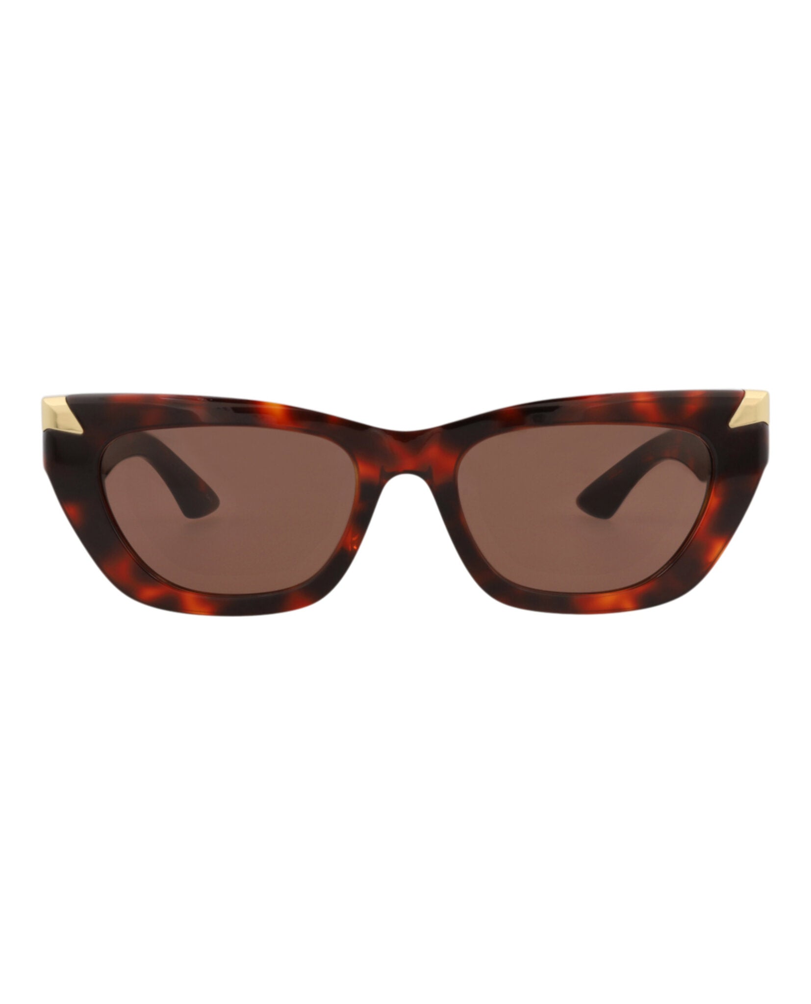Alexander McQueen Womens Cat Eye Havana Havana Brown Fashion Designer Eyewear
