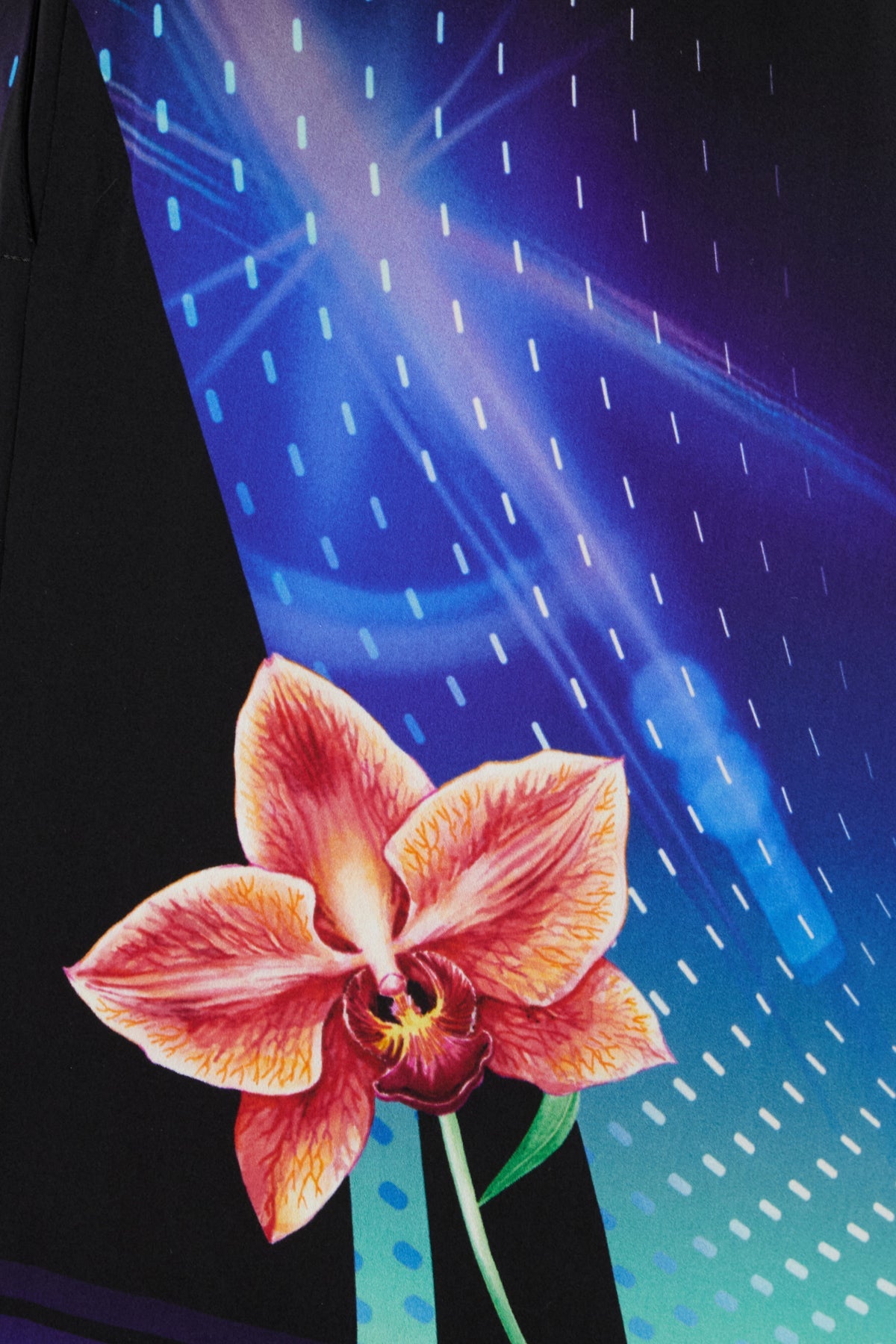Casablanca Man Clothing Shorts