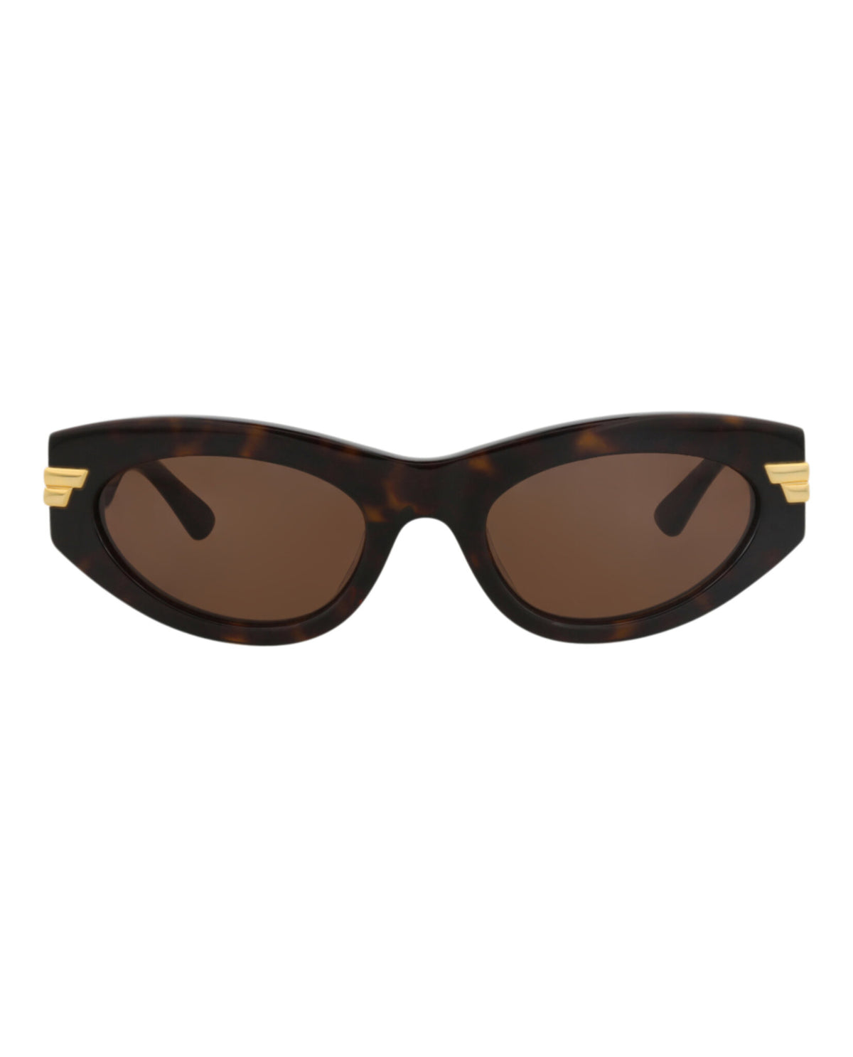 Bottega Veneta Bottega Veneta Womens Cat Eye Havana Havana Brown Fashion Designer Eyewear
