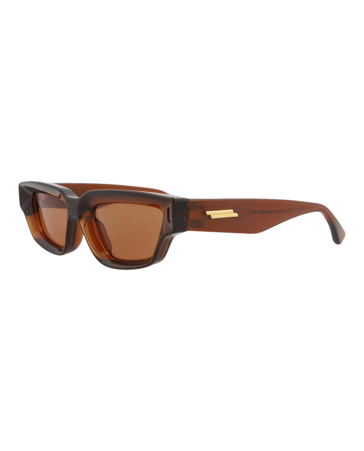 Bottega Veneta Bottega Veneta Unisex Cat Eye Brown Brown Brown Fashion Designer Eyewear