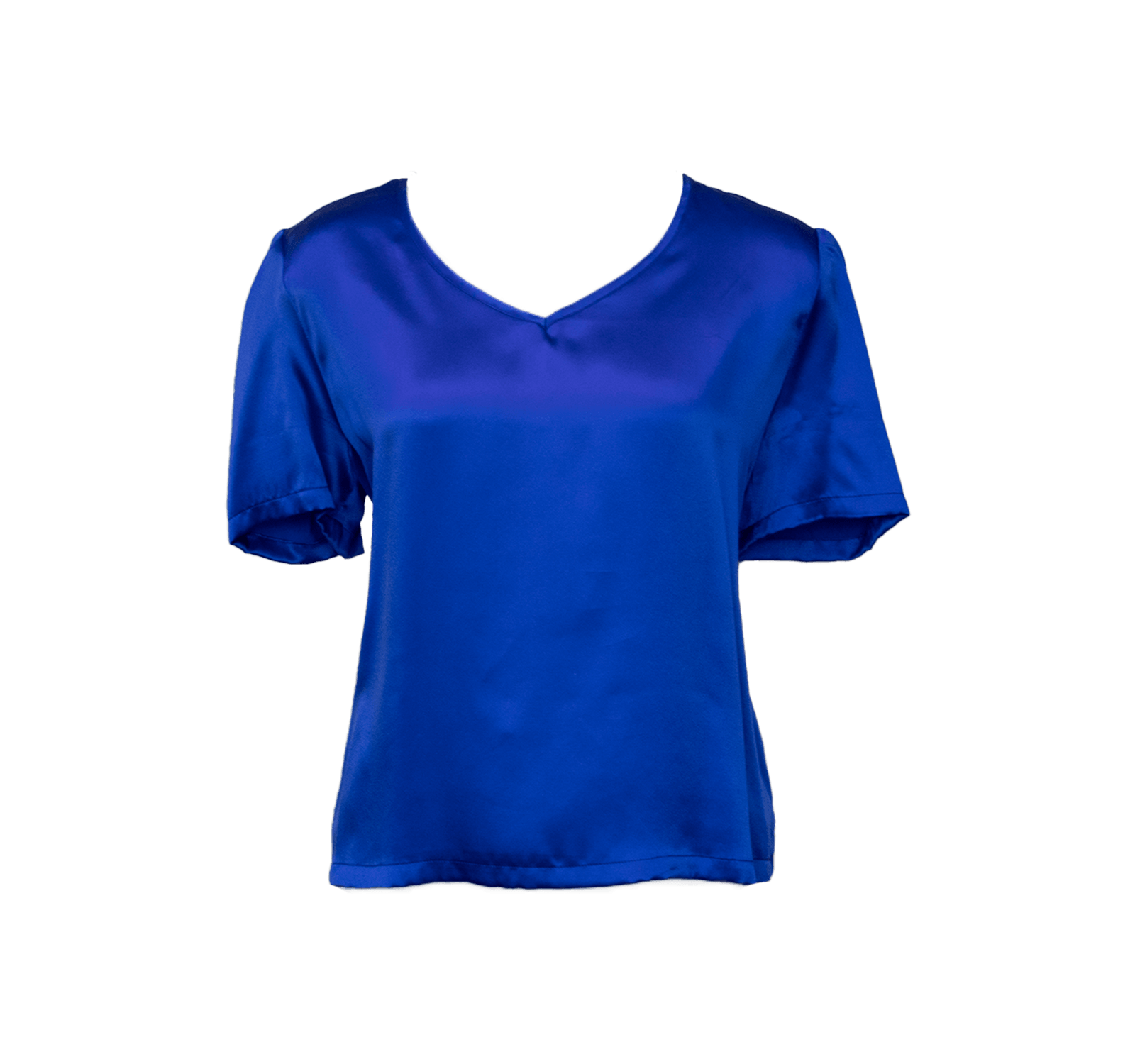 Shining V-Neck Blouse in Blue5