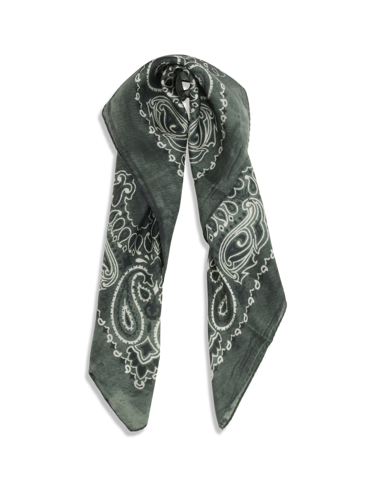 Golden Goose Women Golden Paisley Printed Silk Scarf
