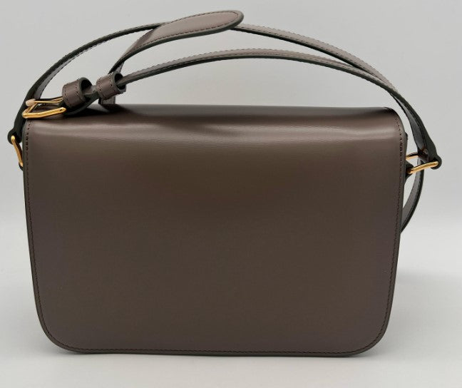 CELINE CLASSIQUE TRIOMPHE BAG IN SHINY CALFSKIN 187363 - PEBBLE (Gallet)