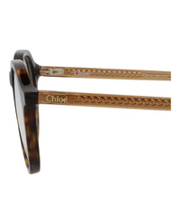 Chloé Chloé Womens Round/Oval Havana Brown Transparent Fashion Designer Eyewear