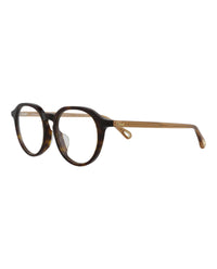 Chloé Chloé Womens Round/Oval Havana Brown Transparent Fashion Designer Eyewear