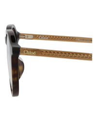 Chloé Chloé Womens Round/Oval Havana Brown Transparent Fashion Designer Eyewear