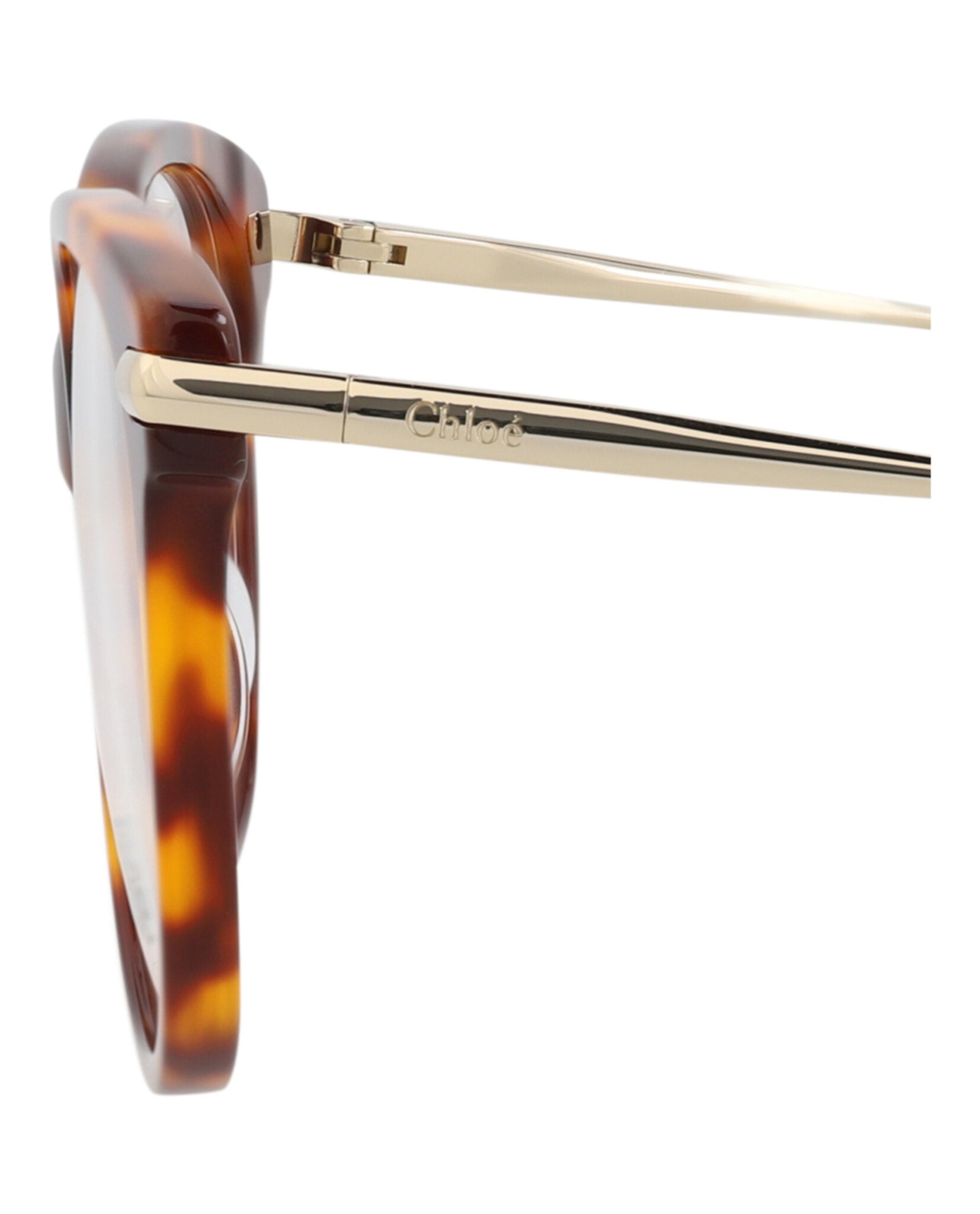 Chloé Womens Cat Eye Havana Gold Transparent Fashion Designer Eyewear