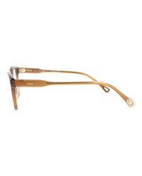 Chloé Womens Cat Eye Brown Brown Transparent Fashion Designer Eyewear