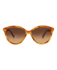 Chloé Womens Round/Oval Havana Havana Brown Fashion Designer Eyewear