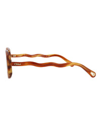 Chloé Womens Round/Oval Havana Havana Brown Fashion Designer Eyewear