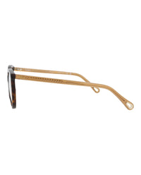 Chloé Chloé Womens Round/Oval Havana Brown Transparent Fashion Designer Eyewear