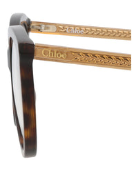 Chloé Chloé Womens Round/Oval Havana Brown Transparent Fashion Designer Eyewear