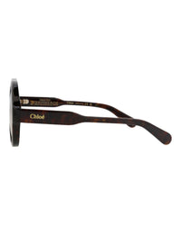 Chloé Womens Round/Oval Havana Havana Brown Fashion Designer Eyewear