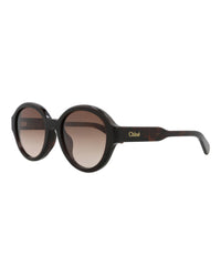 Chloé Womens Round/Oval Havana Havana Brown Fashion Designer Eyewear