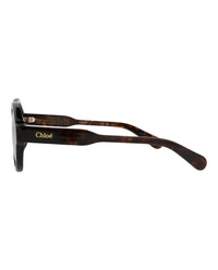 Chloé Womens Round/Oval Havana Havana Brown Fashion Designer Eyewear