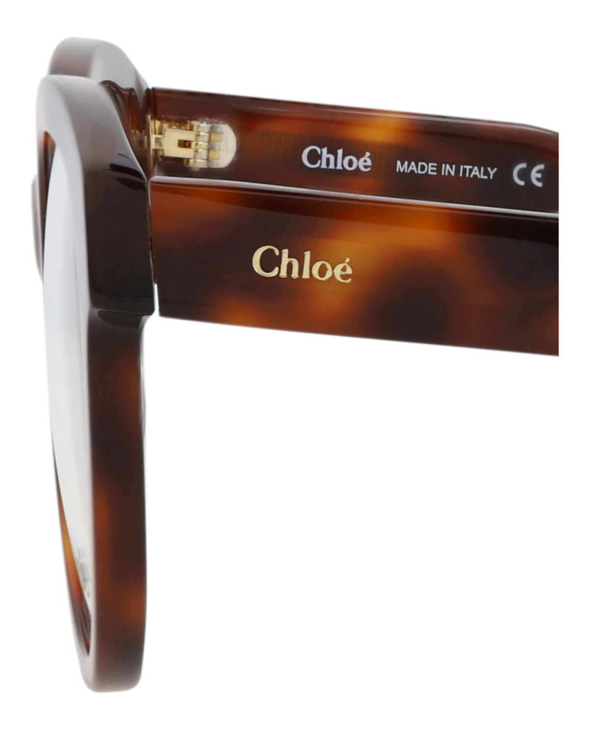 Chloé Womens Round/Oval Havana Havana Transparent Fashion Designer Eyewear