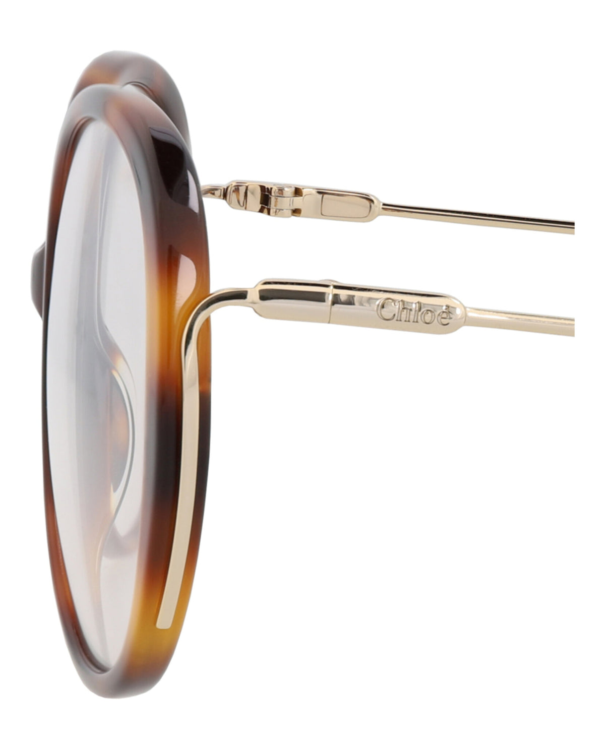 Chloé Womens Round/Oval Havana Gold Transparent Fashion Designer Eyewear