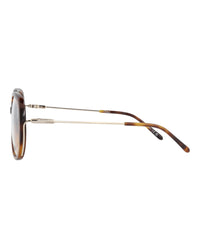 Chloé Chloé Womens Round/Oval Havana Gold Transparent Fashion Designer Eyewear