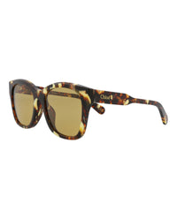 Chloé Chloé Womens Square/Rectangle Havana Havana Brown Fashion Designer Eyewear