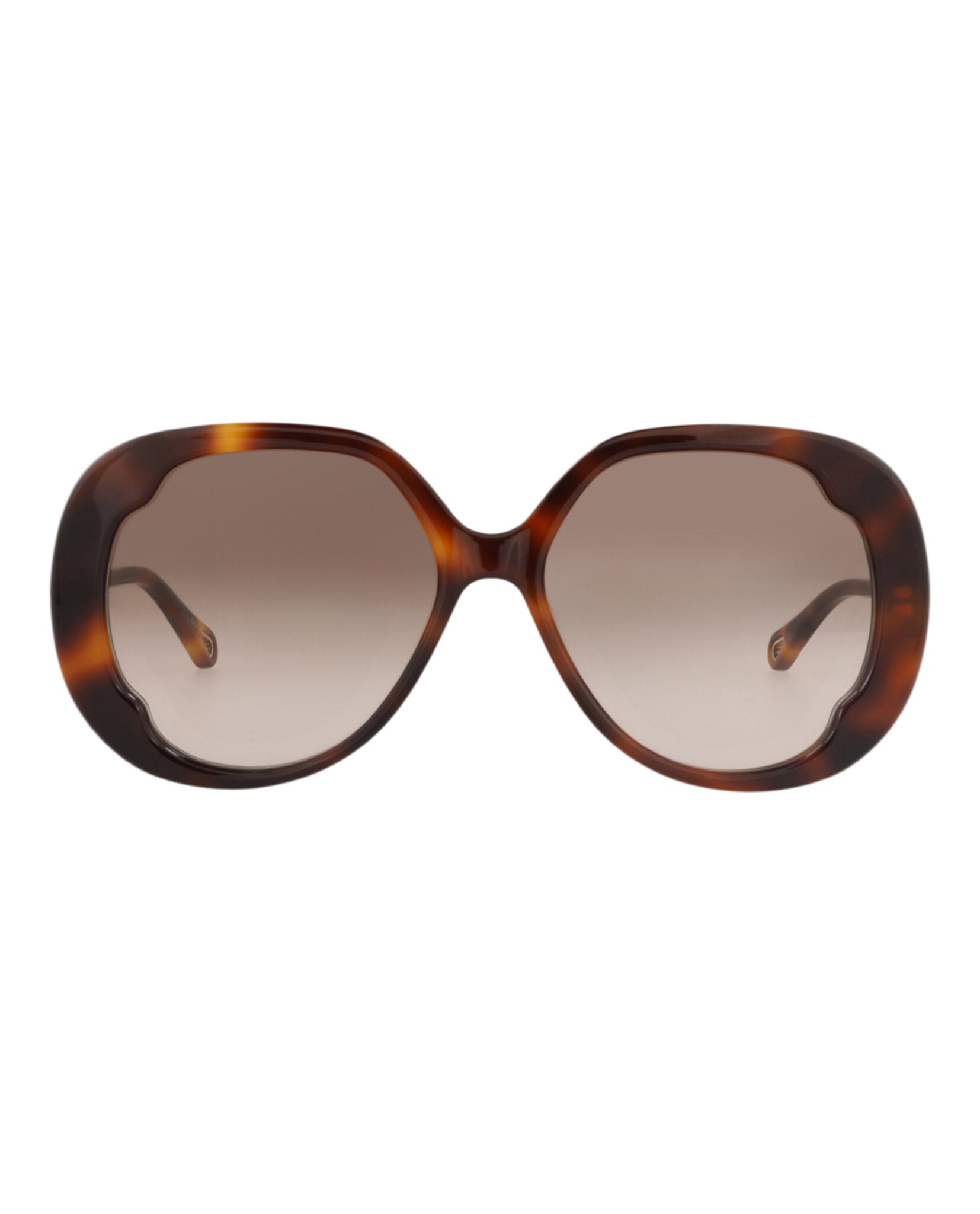Chloé Chloé Womens Round/Oval Havana Havana Brown Fashion Designer Eyewear