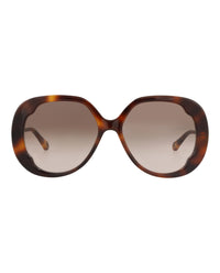 Chloé Chloé Womens Round/Oval Havana Havana Brown Fashion Designer Eyewear