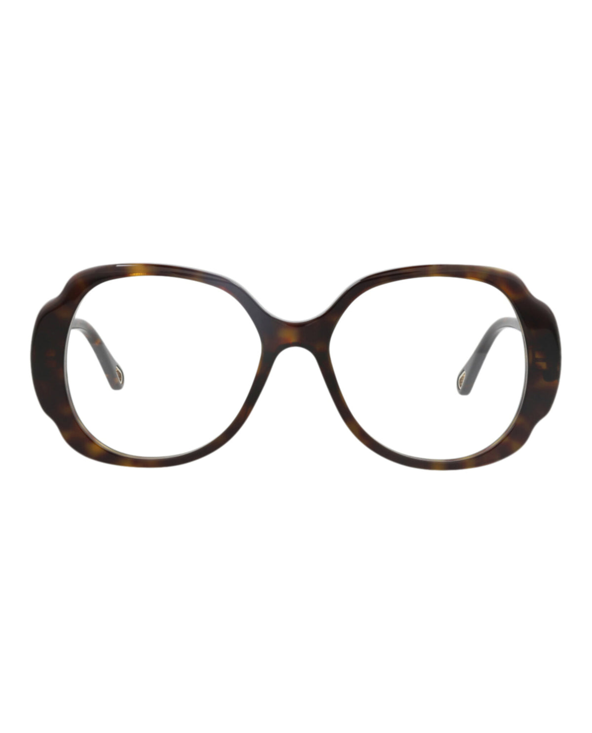 Chloé Womens Round/Oval Havana Havana Transparent Fashion Designer Eyewear