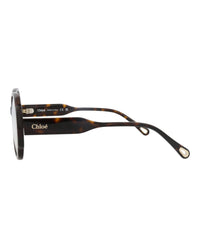 Chloé Womens Round/Oval Havana Havana Transparent Fashion Designer Eyewear
