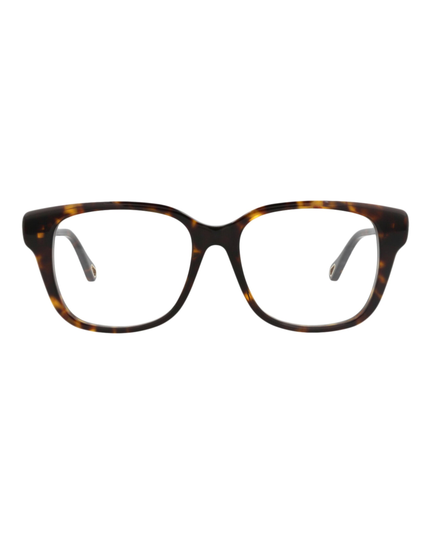 Chloé Womens Square/Rectangle Havana Havana Transparent Fashion Designer Eyewear