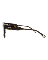 Chloé Womens Square/Rectangle Havana Havana Transparent Fashion Designer Eyewear