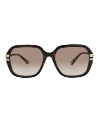 Chloé Chloé Womens Round/Oval Havana Havana Brown Fashion Designer Eyewear