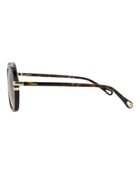 Chloé Chloé Womens Round/Oval Havana Havana Brown Fashion Designer Eyewear