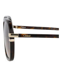 Chloé Chloé Womens Round/Oval Havana Havana Brown Fashion Designer Eyewear