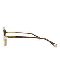 Chloé Womens Round/Oval Havana Havana Transparent Fashion Designer Eyewear