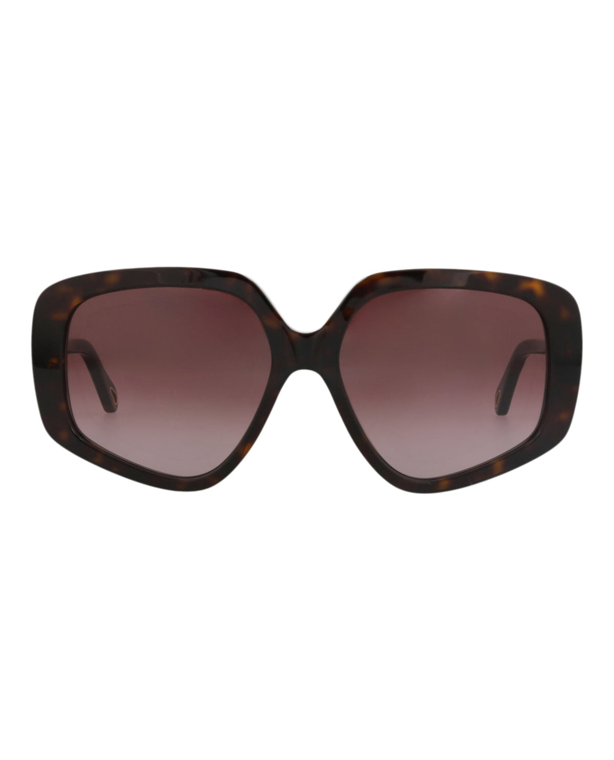 Chloé Womens Square/Rectangle Havana Havana Violet Fashion Designer Eyewear