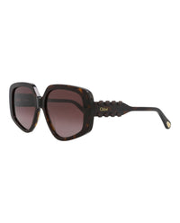 Chloé Womens Square/Rectangle Havana Havana Violet Fashion Designer Eyewear