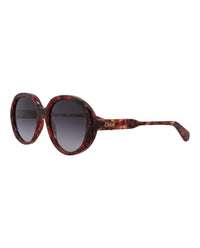 Chloé Chloé Womens Round/Oval Havana Havana Grey Fashion Designer Eyewear