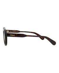 Chloé Womens Cat Eye Havana Havana Transparent Fashion Designer Eyewear