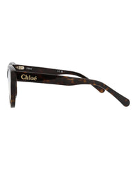 Chloé Womens Cat Eye Havana Havana Transparent Fashion Designer Eyewear
