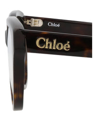 Chloé Womens Cat Eye Havana Havana Transparent Fashion Designer Eyewear