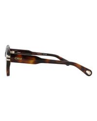Chloé Womens Cat Eye Havana Havana Transparent Fashion Designer Eyewear