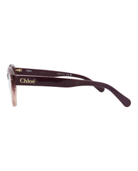 Chloé Womens Round/Oval Burgundy Burgundy Transparent Fashion Designer Eyewear